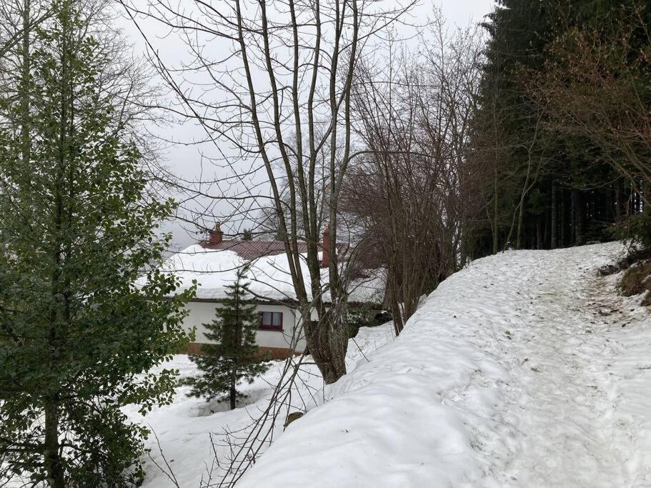 Maison D'Altitude Avec Vue Panoramique A Gerardmer Gérardmer Exterior foto