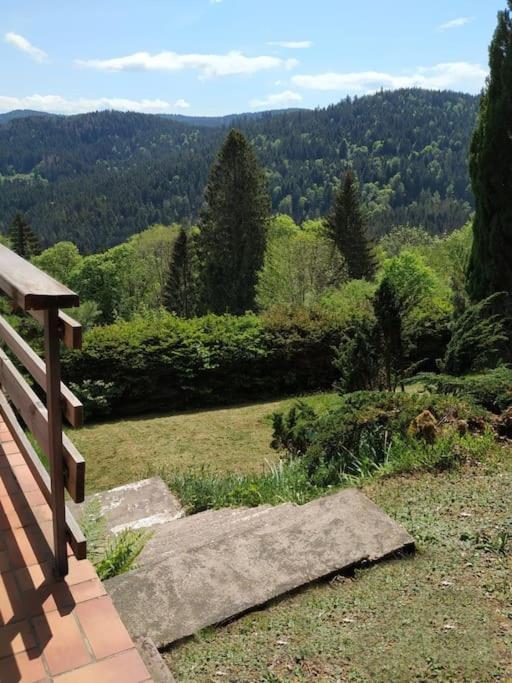 Maison D'Altitude Avec Vue Panoramique A Gerardmer Gérardmer Exterior foto