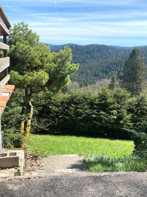 Maison D'Altitude Avec Vue Panoramique A Gerardmer Gérardmer Exterior foto